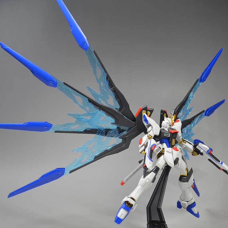 プレミアムバンダイHGCE 1/144 ストライクフリーダムガンダム 光の翼DX ...