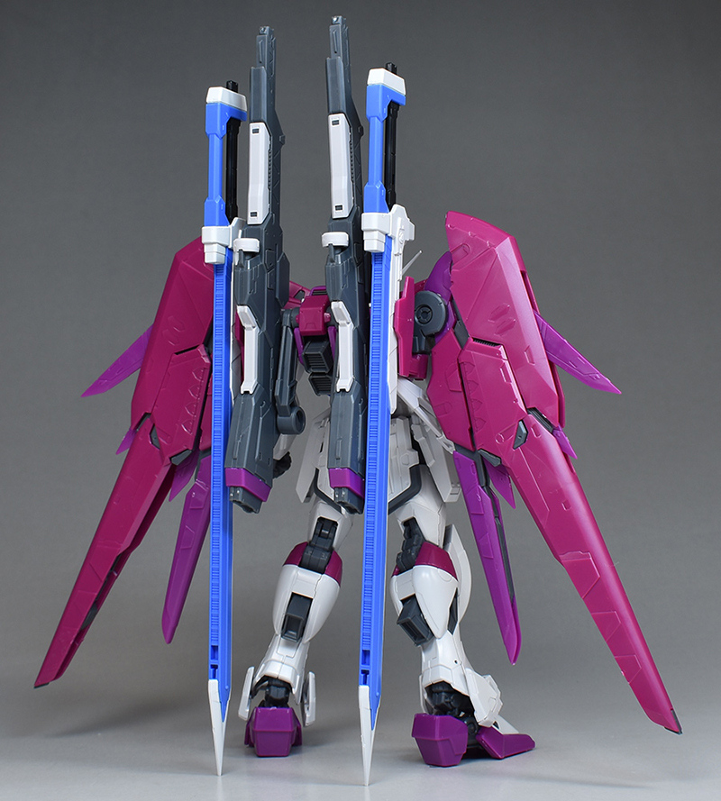 MG デスティニーガンダム RG デスティニーインパルス 【レビューで送料