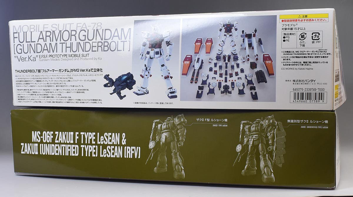 HG ザクIIF型 ルショーン機＆無識別型ザクII ルショーン機 （復讐の
